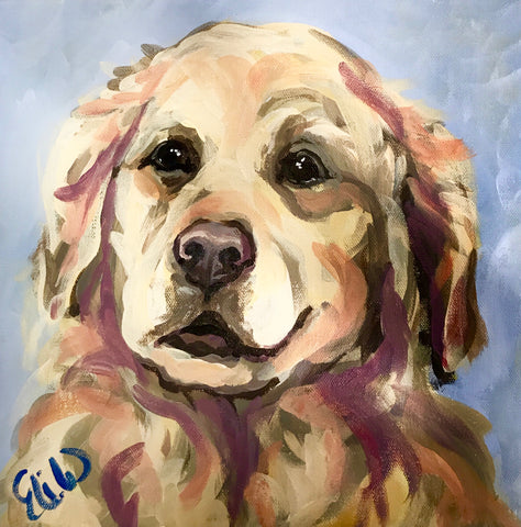 Pet Portrait - September 2017