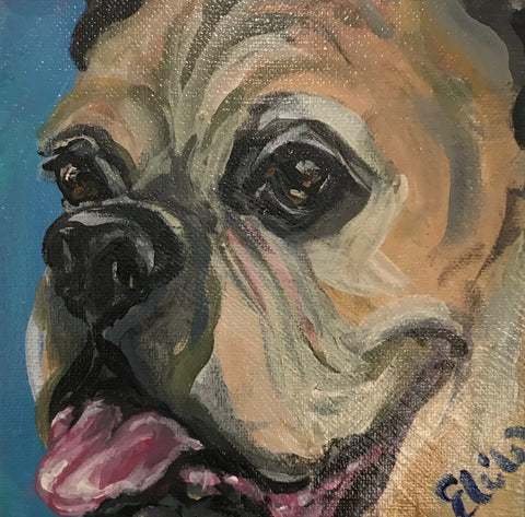 Pet Portrait - February 2018