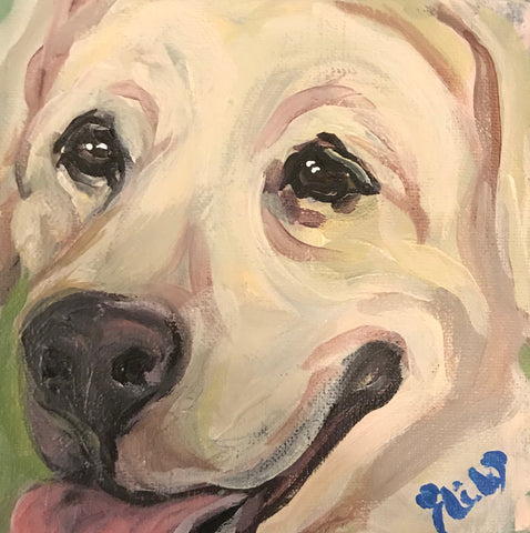 Pet Portrait - February 2018