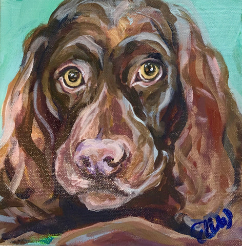 Pet Portrait - Boykin August 2017