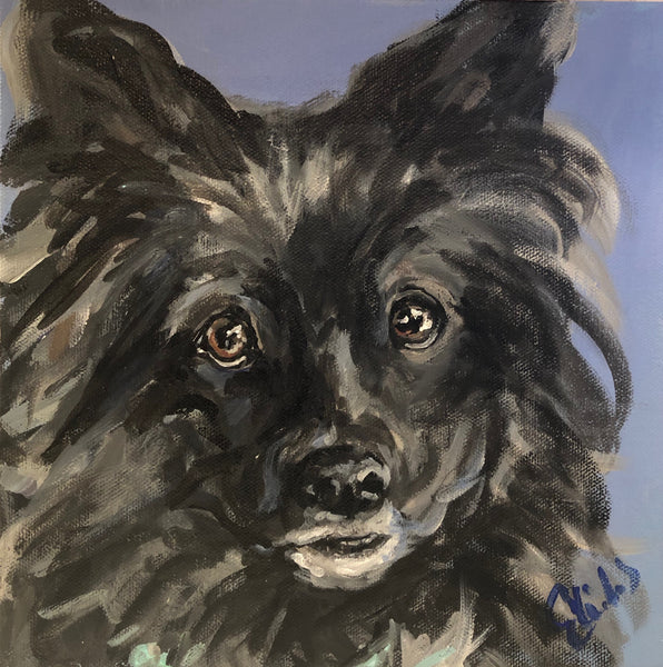 Pet Portrait - December 2019