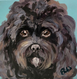 Pet Portrait - December 2019