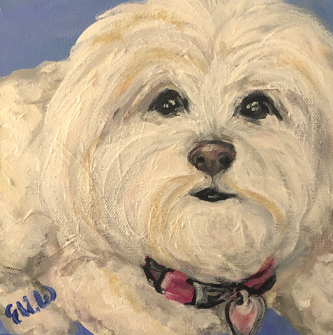 Pet Portrait - August 2020