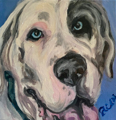 Pet Portrait - August 2020