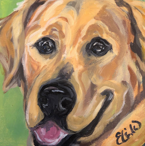 Pet Portrait - August 2020