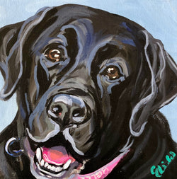 Pet Portrait - Bella November 2020