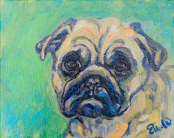 Pet Portrait - Pug