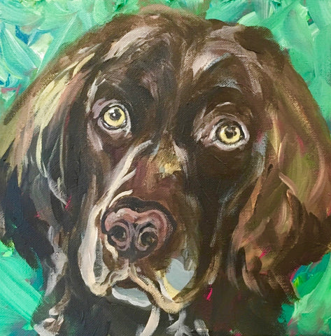 Pet Portrait - Boykin 1