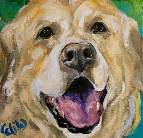 Pet Portrait - Lab 1